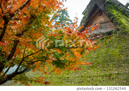 秋季葉子和草皮屋頂 131262540