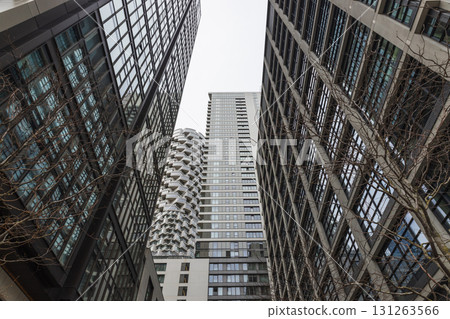 Modern skyscrapers forming an urban canyon, glass office towers looking upward Modern skyscrapers forming an urban canyon, glass office towers looking upward 131263566