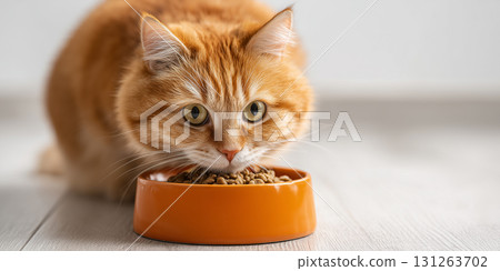 Beautiful Ginger Cat Eating Dry Cat Food From an Orange Bowl - Generative Ai Beautiful Ginger Cat Eating Dry Cat Food From an Orange Bowl - Generative Ai 131263702