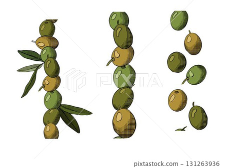 Olive berry and leaves seamless border vertical set. Vector graphic line ink colored illustration. Greek oil harvest. Packaging print for food design Olive berry and leaves seamless border vertical set. Vector graphic line ink colored illustration. Greek oil harvest. Packaging print for food design 131263936