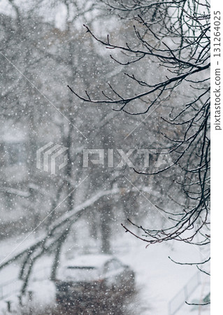 Beautiful view of city street with cottages and trees on winter day Beautiful view of city street with cottages and trees on winter day 131264025