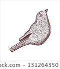 Hand drawn bird figurine in vintage style. Vector illustration. 131264350