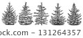 Set with snowy spruce trees. Christmas design elements. Hand drawn vector illustration. 131264357