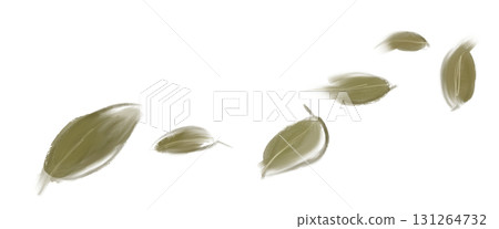 An illustration of leaves blowing in the dark brown wind An illustration of leaves blowing in the dark brown wind 131264732