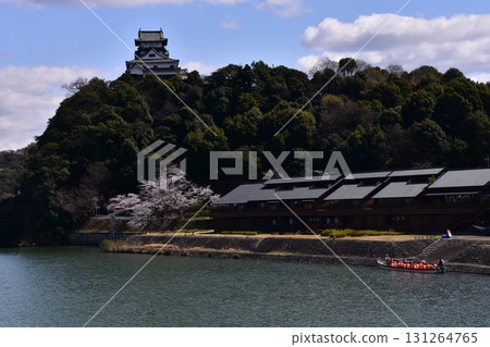 Inuyama City, Aichi Prefecture, Japan. Inuyama Castle and cherry blossoms in full bloom in spring. A sightseeing boat on the Kiso River with beautiful blue skies. Tourists boarding the boat. 131264765