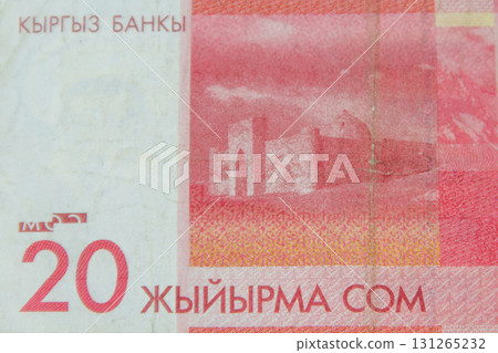 Macro shot of 20 som bill. Cash banknote of Kyrgyzstan. Kyrgyz national currency 131265232