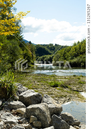 Scenic River and Alpine Forest. Majestic Mountain View with Pure Nature and Timeless Beauty Scenic River and Alpine Forest. Majestic Mountain View with Pure Nature and Timeless Beauty 131265267