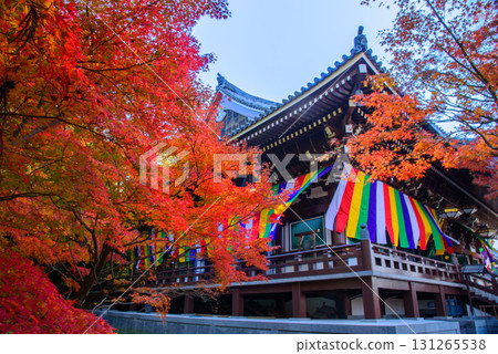 秋天的智積院 秋天的智積院 131265538