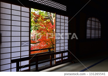 秋天的智積院 131265541