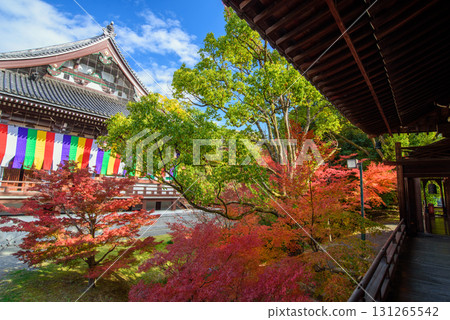 秋天的智積院 131265542