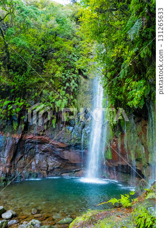 Majestic waterfall in Madeira's lush forest cascades down a rocky cliff, creating a serene stream below. The 25 Fontes or 25 Springs. It's a group of waterfalls located in Rabacal, Paul da Serra 131265633