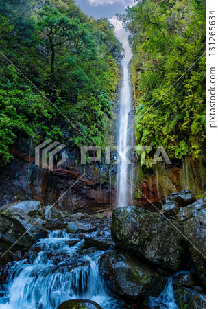Majestic waterfall in Madeira's lush forest cascades down a rocky cliff, creating a serene stream below. The 25 Fontes or 25 Springs. It's a group of waterfalls located in Rabacal, Paul da Serra 131265634