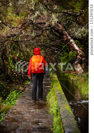 Tourist on Levada do Norte on the Portuguese island of Madeira. Levada irrigation canal. Hiking in Madeira. Narrow path next to the levada. Green mountains and ocean in background. 131265638