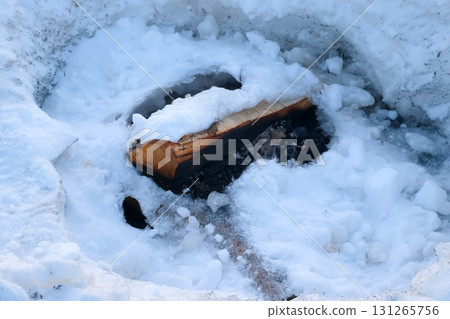 Small log in forest snow in winter, close-up view. Snow ice in ground. 131265756