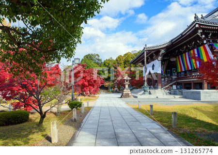 Chishaku-in Temple in autumn Chishaku-in Temple in autumn 131265774