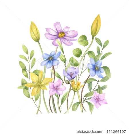 Wild spring flowers bouquet watercolor illustration on isolated background. Blooming plant in pink, blue, yellow colors. Floral composition for Valentine day cards, invitation design, stationery. Wild spring flowers bouquet watercolor illustration on isolated background. Blooming plant in pink, blue, yellow colors. Floral composition for Valentine day cards, invitation design, stationery. 131266107