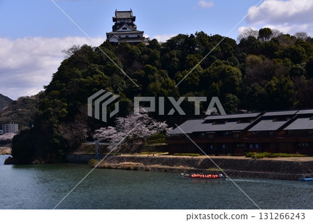 日本愛知縣犬山市：春天盛開的犬山城和櫻花；木曾川上的觀光船和美麗的新鮮綠地；該地區的住宿和住宅 131266243