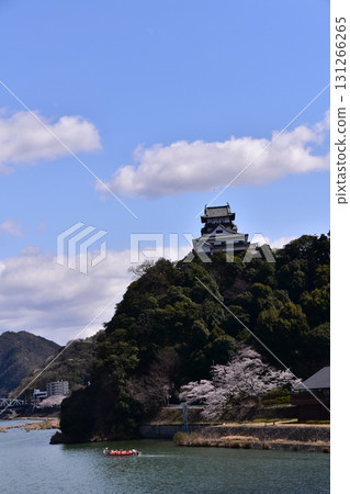日本愛知縣犬山市：春天盛開的犬山城和櫻花；木曾川上的觀光船和美麗的新鮮綠地；該地區的住宿和住宅 131266265