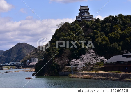 日本愛知縣犬山市：春天盛開的犬山城和櫻花；木曾川上的觀光船和美麗的新鮮綠地；該地區的住宿和住宅 131266276