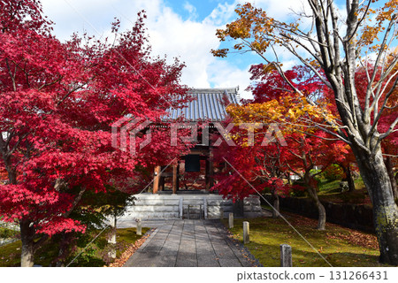 Chishaku-in Temple in autumn Chishaku-in Temple in autumn 131266431