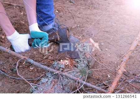 Woman in forest camping cuting tree log with axe for firewood, hands closeup. Woman in forest camping cuting tree log with axe for firewood, hands closeup. 131266541