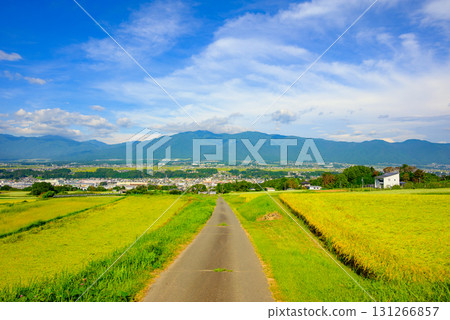 伊那溪穀和稻田[上伊那郡三之輪町] 131266857