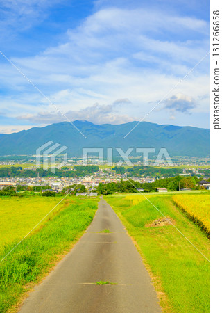 Ina Valley and rice fields [Minowa Town, Kamiina District] 131266858