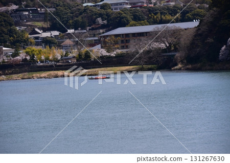 日本愛知縣犬山市 - 犬山城和春天盛開的櫻花 - 木曾川上的觀光船和美麗的櫻花樹 - 該地區的住宿和住宅 131267630