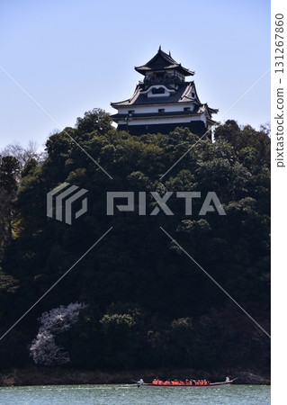 日本愛知縣犬山市 - 春天的犬山城,櫻花盛開,木曾川上的觀光船和雄偉的天守閣,美麗的新鮮綠地和晴朗的藍天 日本愛知縣犬山市 - 春天的犬山城,櫻花盛開,木曾川上的觀光船和雄偉的天守閣,美麗的新鮮綠地和晴朗的藍天 131267860