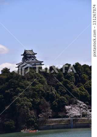 日本愛知縣犬山市 - 春天的犬山城,櫻花盛開,木曾川上的觀光船和雄偉的天守閣,美麗的新鮮綠地和晴朗的藍天 日本愛知縣犬山市 - 春天的犬山城,櫻花盛開,木曾川上的觀光船和雄偉的天守閣,美麗的新鮮綠地和晴朗的藍天 131267874