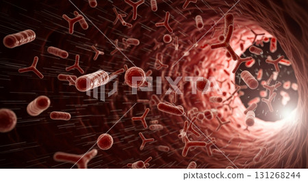 乳酸菌、雙歧桿菌、丁酸菌在體內發揮作用 131268244