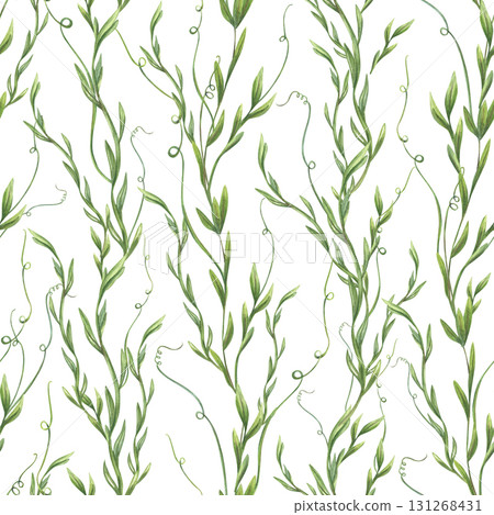 Vertically climbing green plants seamless watercolor pattern on isolated on white background. Lush delicate spring stem with leaves illustration for wallpapers, textile prints, nature designs Vertically climbing green plants seamless watercolor pattern on isolated on white background. Lush delicate spring stem with leaves illustration for wallpapers, textile prints, nature designs 131268431