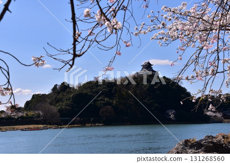 Inuyama City, Aichi Prefecture, Japan - Inuyama Castle in spring and cherry blossoms in full bloom, a sightseeing boat on the Kiso River and the magnificent castle tower, beautiful blue skies and fresh greenery 131268560