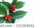 南天竹果 紅果 南天竹果 植物 幸運符 131269042