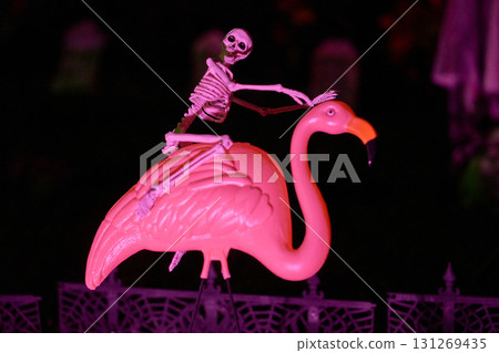 Skeleton figure balances on a pink flamingo lawn ornament in strong magenta light. Festive Halloween yard display with eerie glow and shallow depth of field. Skeleton figure balances on a pink flamingo lawn ornament in strong magenta light. Festive Halloween yard display with eerie glow and shallow depth of field. 131269435