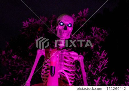 Close up of a towering bony skeleton wearing a pink flamingo pool float. Purple lighting and bushes create a spooky, playful Halloween display. 131269442