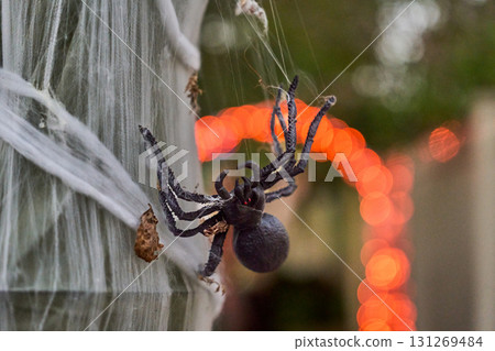 Black spider prop hangs on thick cobweb strands with glowing orange lights in the background. Closeup view shows legs, fangs, and sticky web for a spooky yard display. Black spider prop hangs on thick cobweb strands with glowing orange lights in the background. Closeup view shows legs, fangs, and sticky web for a spooky yard display. 131269484
