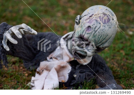 A decomposed zombie prop claws its way through grass with a twisted face. Tattered clothing and rotting details make a terrifying Halloween display. A decomposed zombie prop claws its way through grass with a twisted face. Tattered clothing and rotting details make a terrifying Halloween display. 131269490