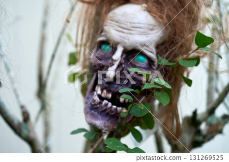 A rotting zombie skull with green glowing eyes grins from the branches. Halloween decoration close-up with tangled hair and decayed features. A rotting zombie skull with green glowing eyes grins from the branches. Halloween decoration close-up with tangled hair and decayed features. 131269525
