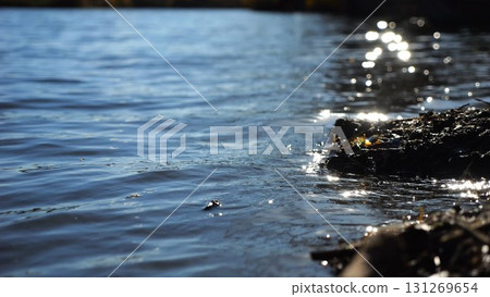 Close up view on lake with small waves at sunny day. Calm scenery of pond at summer season. Beautiful nature landscape. Concept of tranquility scene. Slow motion Close up view on lake with small waves at sunny day. Calm scenery of pond at summer season. Beautiful nature landscape. Concept of tranquility scene. Slow motion 131269654