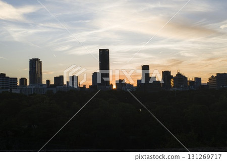 黃昏時分的城市剪影 131269717