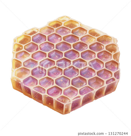 Watercolor Beekeeping Honeycomb Frame Clipart in Pastel Colors on Transparent Background 131270244