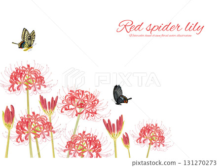 Hand-drawn illustration of a butterfly and red spider lily 131270273