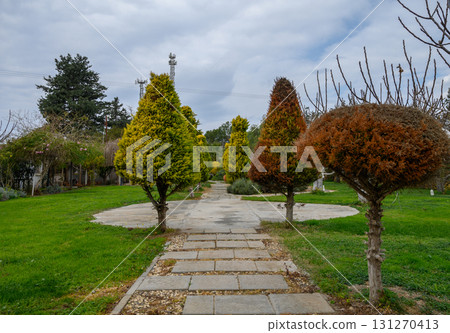 Strolling through a serene garden path lined with beautifully shaped trees under a cloudy sky in early springtime 131270413