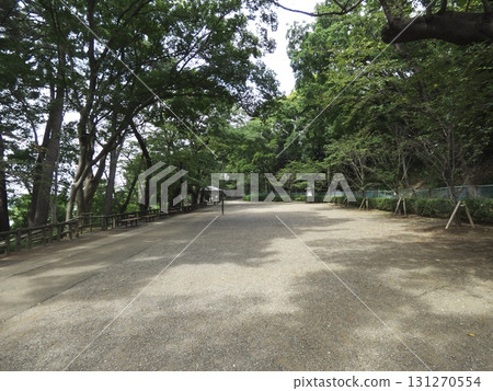 A wide gravel walkway surrounded by lush trees and benches 131270554