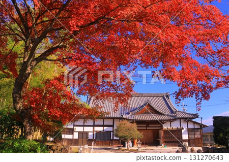 Autumn leaves at Saikyoji Temple (Otsu City, Shiga Prefecture) 131270643