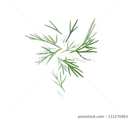 Green sprigs of dill levitate on a white background Green sprigs of dill levitate on a white background 131270963