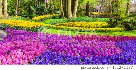 amazing floral park Keukenhof in Holland amazing floral park Keukenhof in Holland 131271157