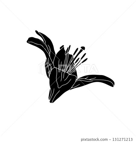 Hand drawn black silhouette of lily bloom linocut. Monochrome birth month May flower Hand drawn black silhouette of lily bloom linocut. Monochrome birth month May flower 131271213