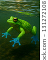 Blue hand frog 131272108